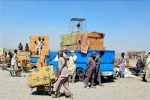 رشد ۲۰ درصدی واردات به روش کولهبری در سیستان و بلوچستان