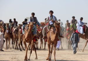 برگزاری مسابقات شتردوانی قهرمانی کشور به میزبانی سیستان و بلوچستان