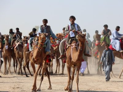 برگزاری مسابقات شتردوانی قهرمانی کشور به میزبانی سیستان و بلوچستان