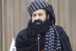 وزیر مهاجرین طالبان در انفجار تروریستی جان باخت