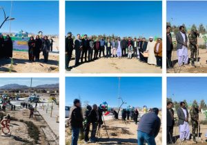 پویش«درختکاری در سایه مادر» در سیستان و بلوچستان / کاشت ۲ هزار و ۵۰۰ اصله نهال