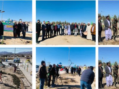 پویش«درختکاری در سایه مادر» در سیستان و بلوچستان / کاشت ۲ هزار و ۵۰۰ اصله نهال