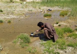 آب های راکد، نقش مهمی در چرخه انتقال بیماری مالاریا دارد