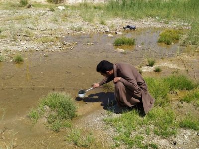 آب های راکد، نقش مهمی در چرخه انتقال بیماری مالاریا دارد