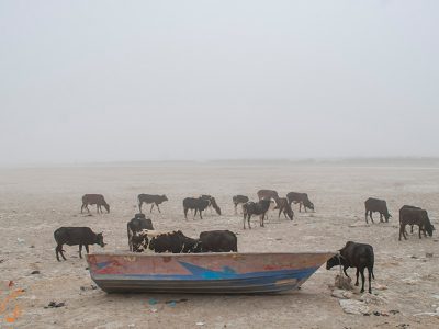 آغاز مرطوب‌سازی کانون‌های گرد و غبار بستر تالاب هامون