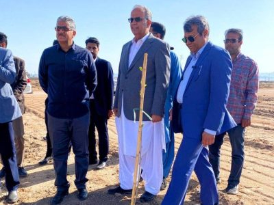 نهضت سبز در زاهدان؛ ۱۲ هزار اصله نهال در روز طبیعت توزیع شد