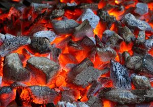 کارگاه‌های تولید زغال در سیستان؛ درختان گز قربانی سهمیه گازوئیل