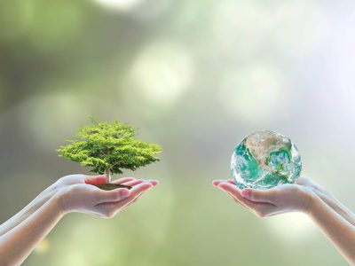 مدیریت نتیجه محور رویکردی برای پایداری محیط زیست سیستان و بلوچستان