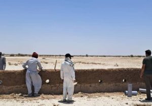 تشریح جزئیات پایلوت طرح ساخت دیوار گلی در بستر دریاچه بین المللی هامون/ این طرح با هدف جلوگیری از تولید ریزگرد اجرا میشود