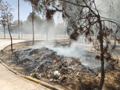 به فرزندان خود بیاموزیم که ایجاد حریق در پارک‌ها تبعات دارد+فیلم