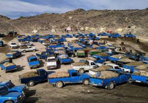 تناقض مدیریتی در اجرای طرح‌های اشتغالزایی مرزی