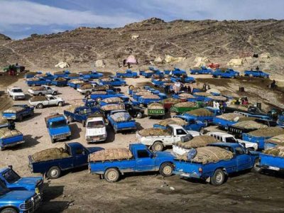 تناقض مدیریتی در اجرای طرحهای اشتغالزایی مرزی