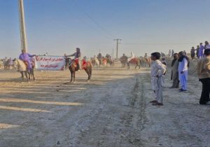 برگزاری نخستین همایش سوارکاری در هیرمند