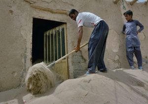 حیات روستاهای سیستان در گروی حفظ دام/ پیش از بحران تدبیر کنید!