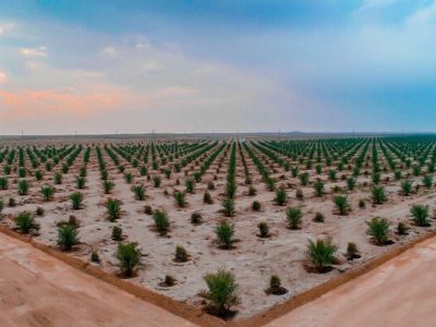 چرا سیستان، تاب حضور هلدینگ ماهان را ندارد؟