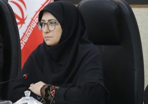 انصاری: ‌محیط زیست مخالف توسعه نیست‌/ حق‌آبه هامون در اولویت است
